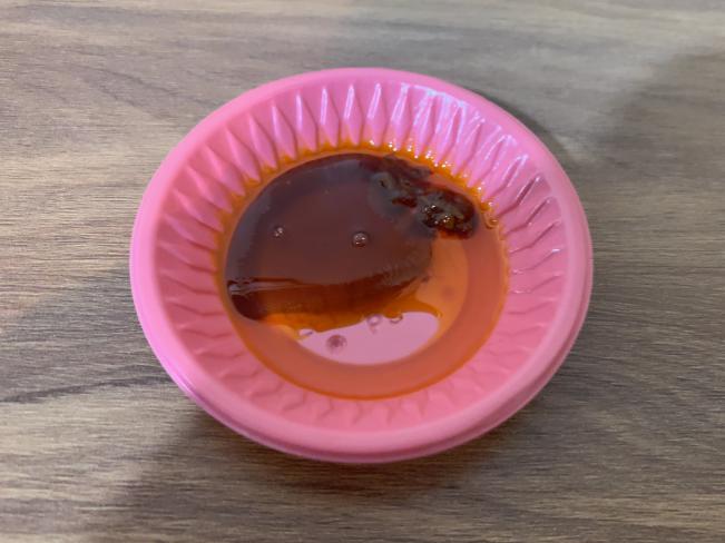 誠記原汁排骨湯